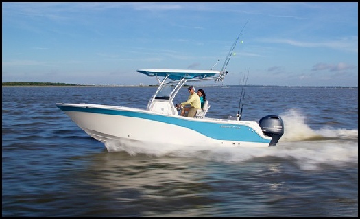 Sea Fox 228