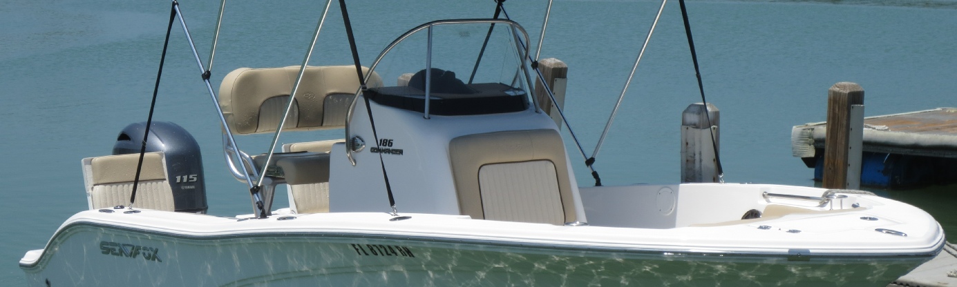 Pontoon and Family on the Water